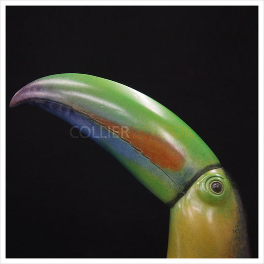 Keel Billed Toucan by Adam Binder