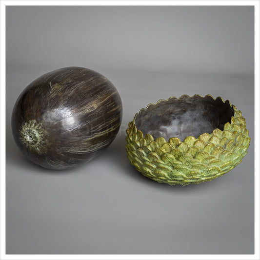 Acorn II by Adam Paddon