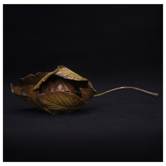 Dried leaf with a chestnut inside on a black background