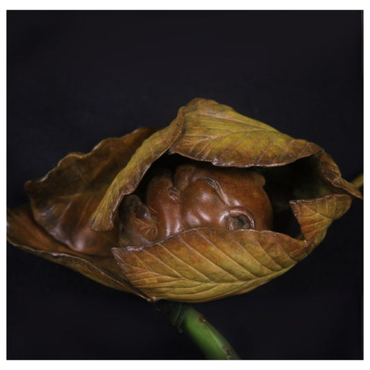 Close-up of a dried leaf with a dark background