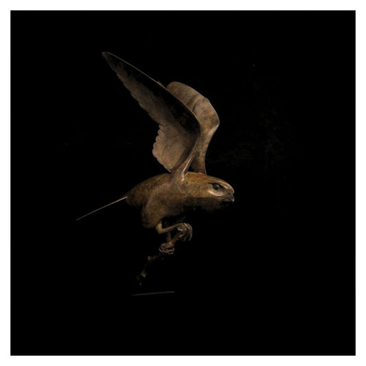 Bronze sculpture of a bird in flight on a black background