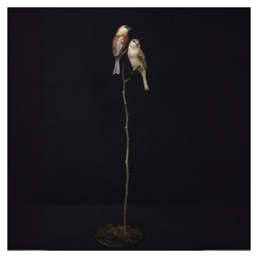 Two birds perched on a branch against a black background