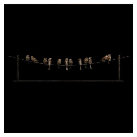 Artistic depiction of birds perched on a wire against a black background