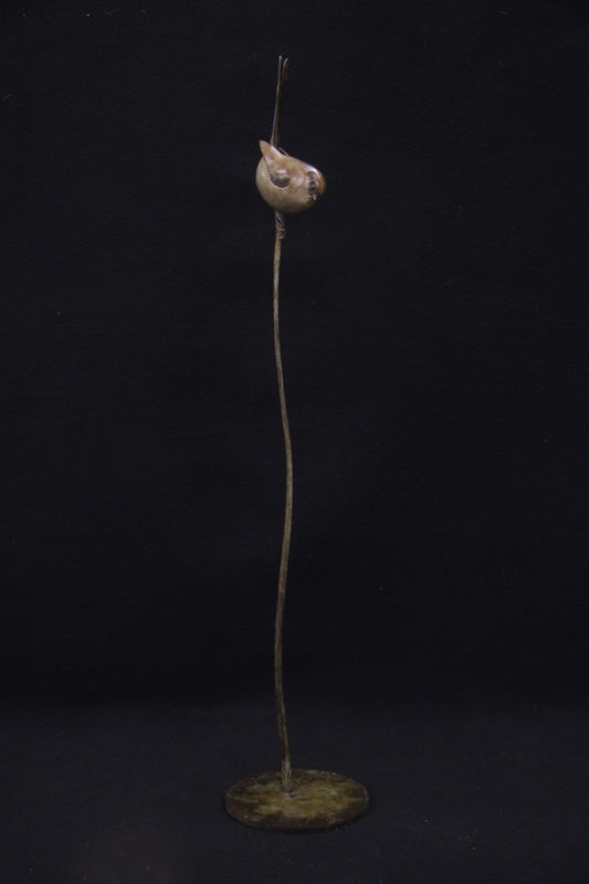 Adam Binder Long Tailed Tit