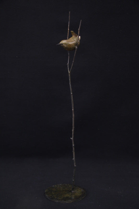 Adam Binder Wren on Twigs