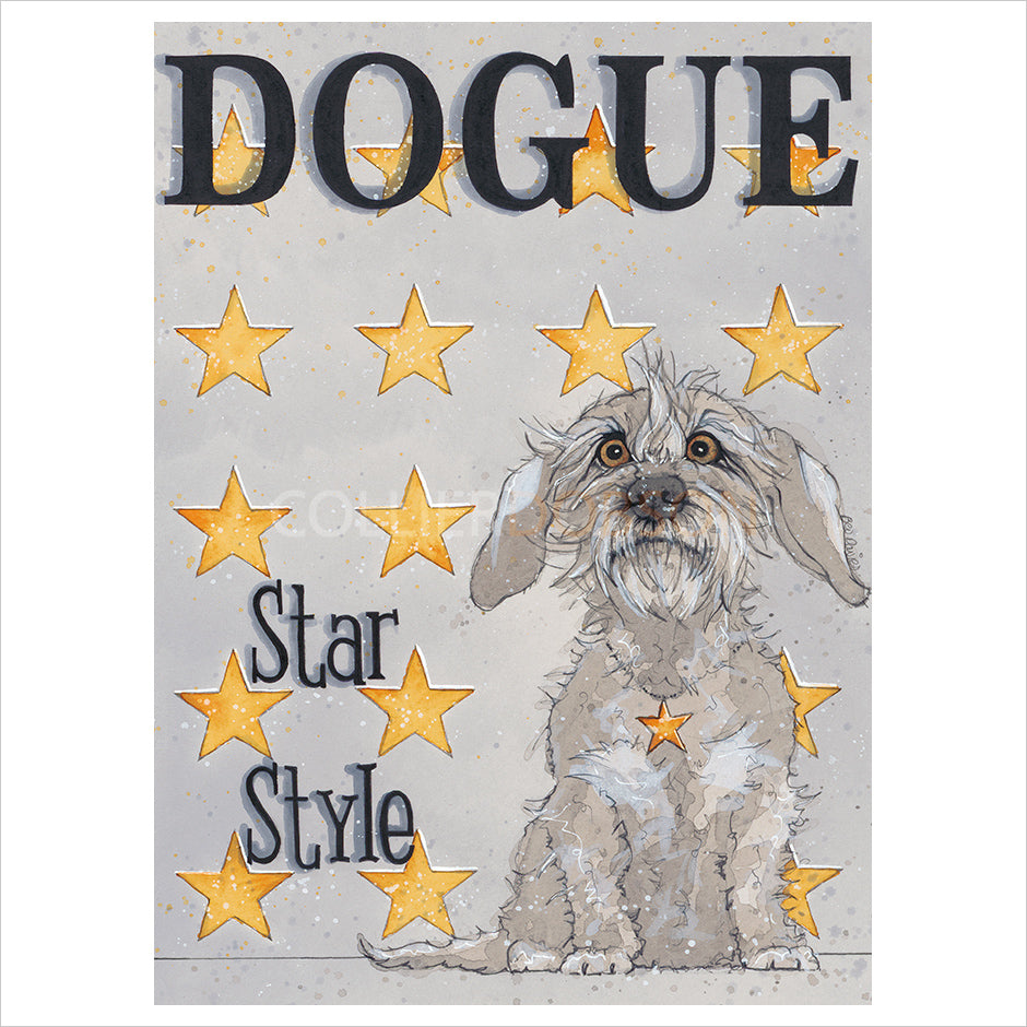 Star Style by Bev Davies