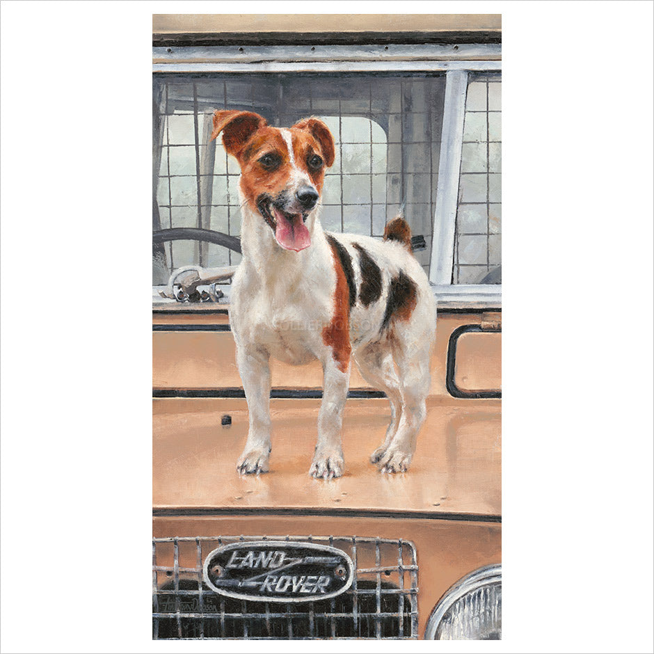 On Safari by Anthony Dobson