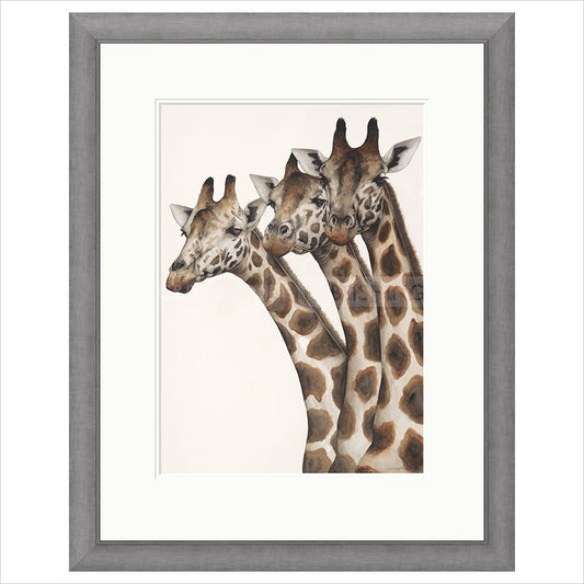 Dominique Salm Did You See That?