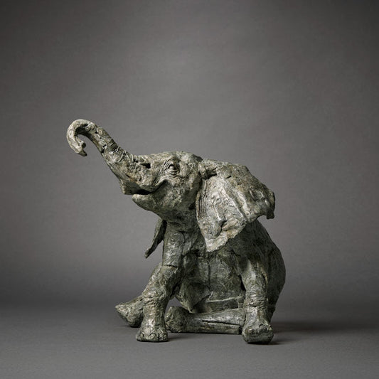 Fred-Gordon-Elephant-Calf