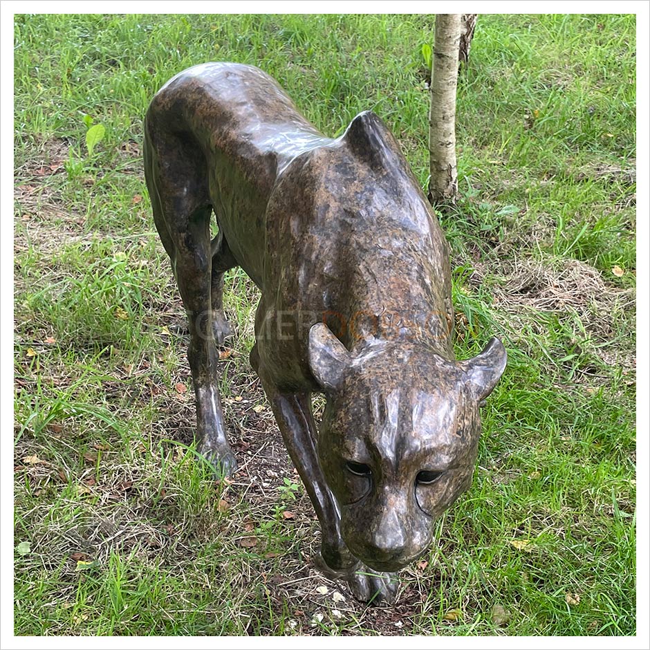 Cheetah by Gill Parker