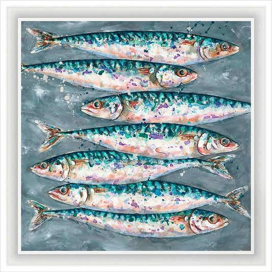 Mackerel Swim by Giles Ward