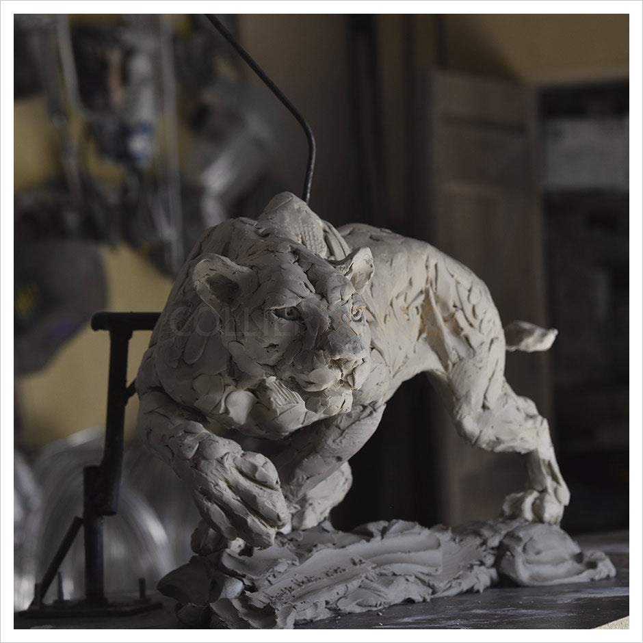 Hamish Mackie Bronze Sculpture of Lioness Stalking Collier & Dobson