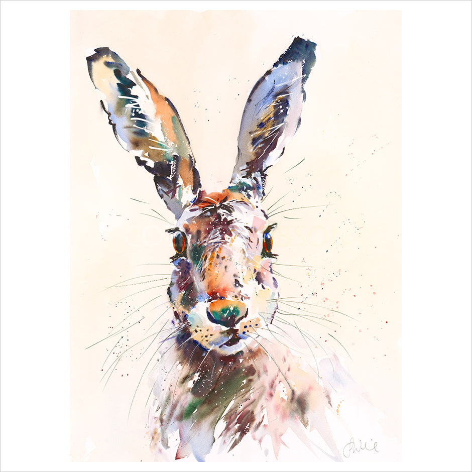 Hare Twitch - Original