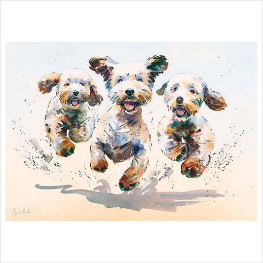 The Three Amigos by Jake Winkle