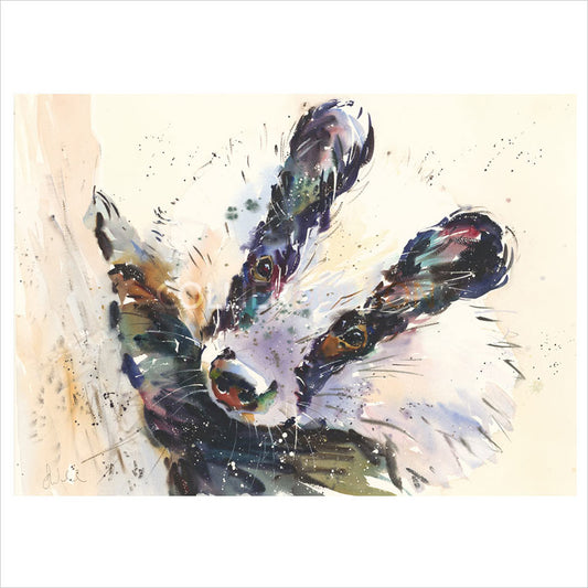 Young Badger by Jake Winkle