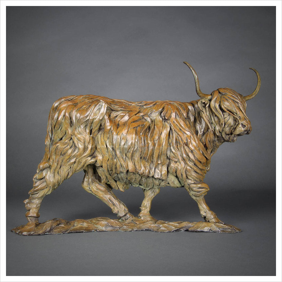 Highland Cow by William Montgomery