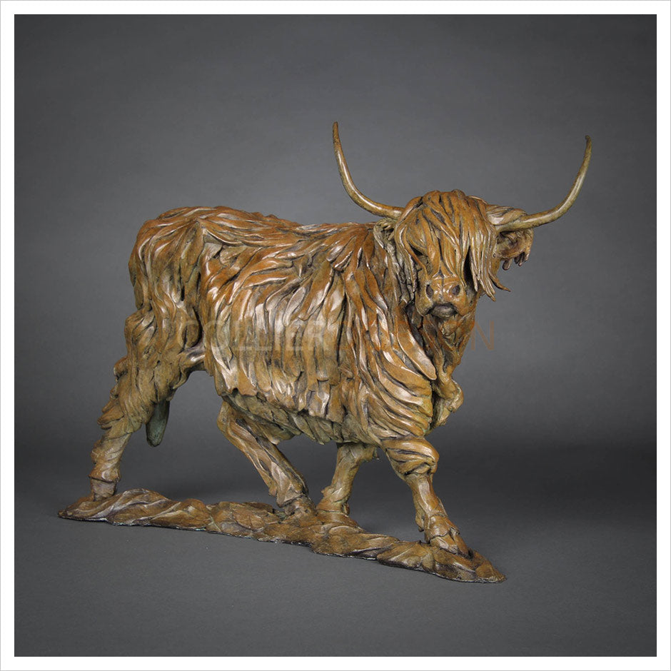 Highland Cow by William Montgomery