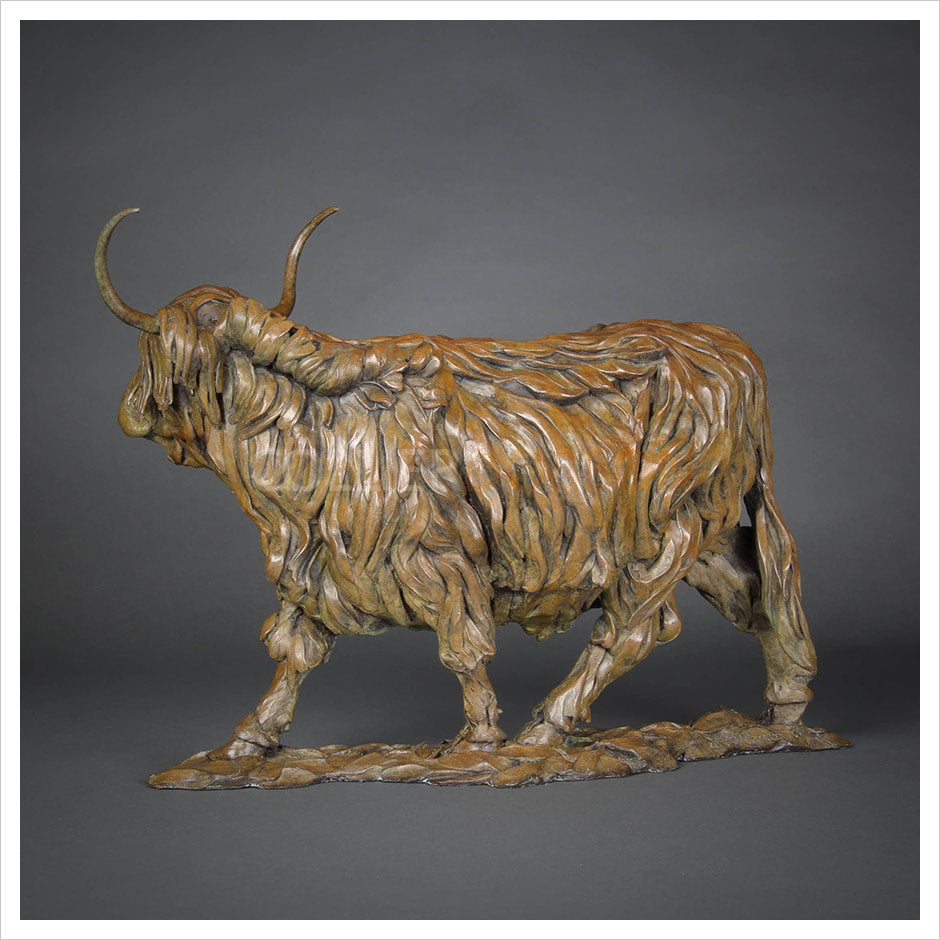 Highland Cow by William Montgomery