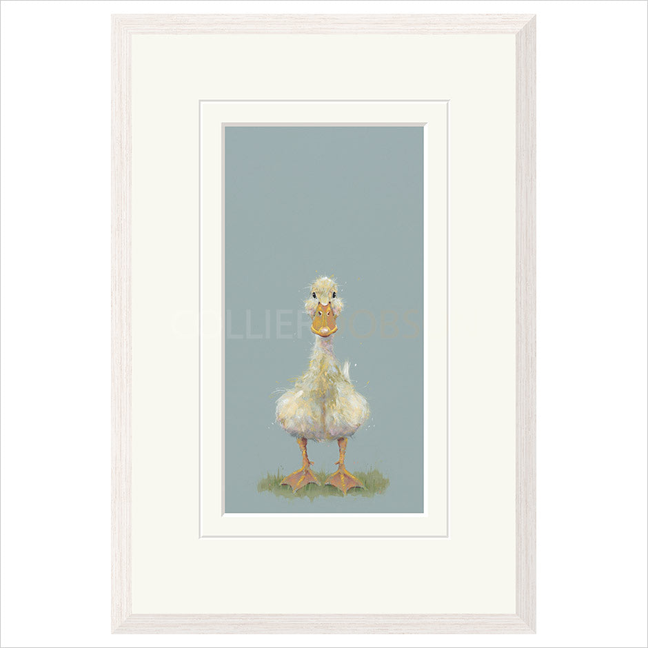 Quackers