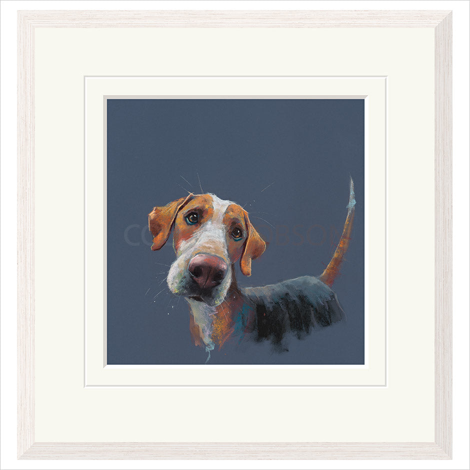 Hound Dog