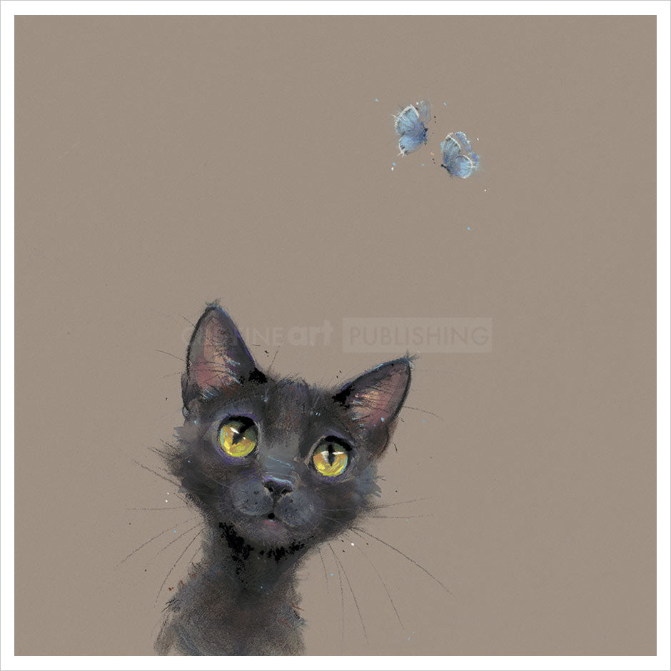 Nicky_Litchfield_Butterflies