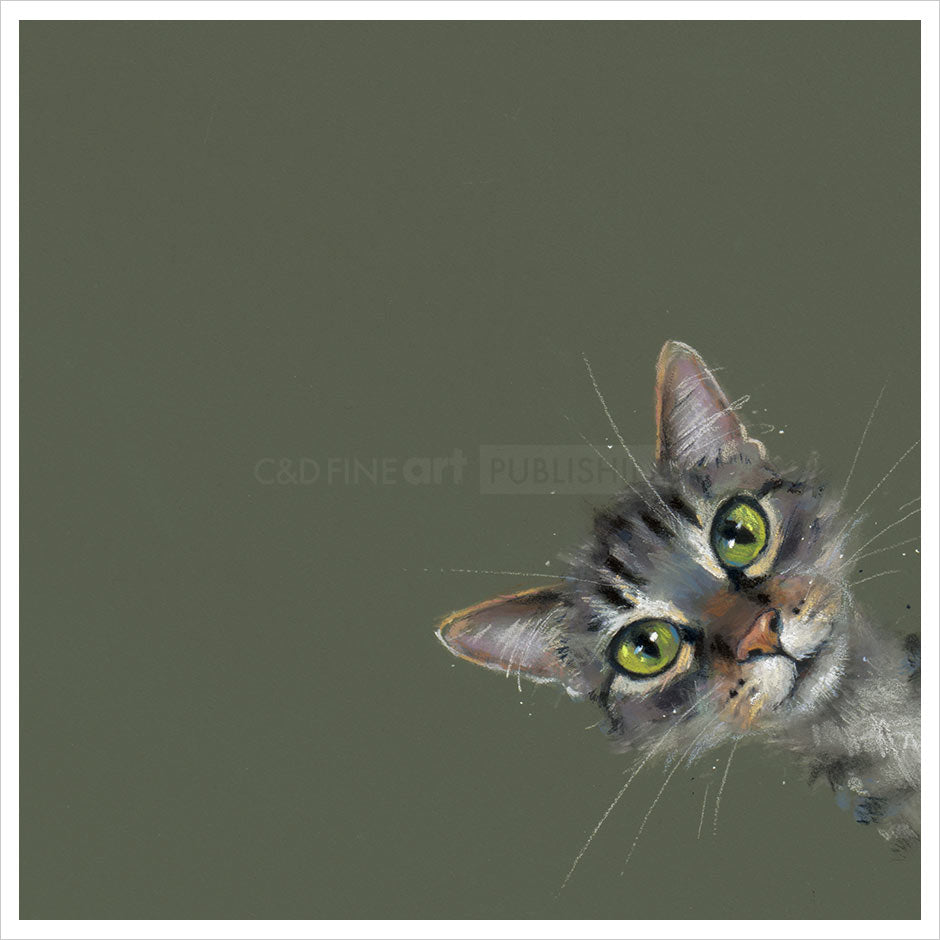 Nicky Litchfield Playtime