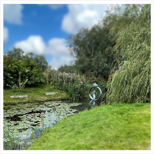 Pelicans by Simon Gudgeon