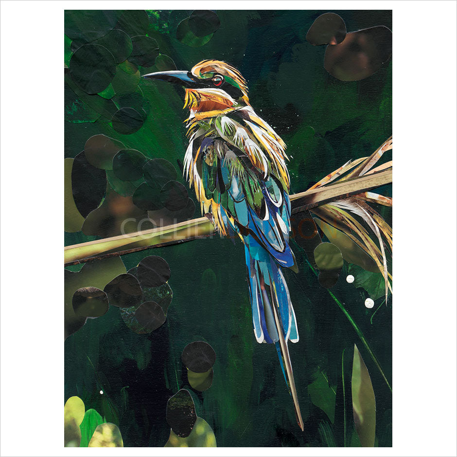 Paradise by Sarah Jackson
