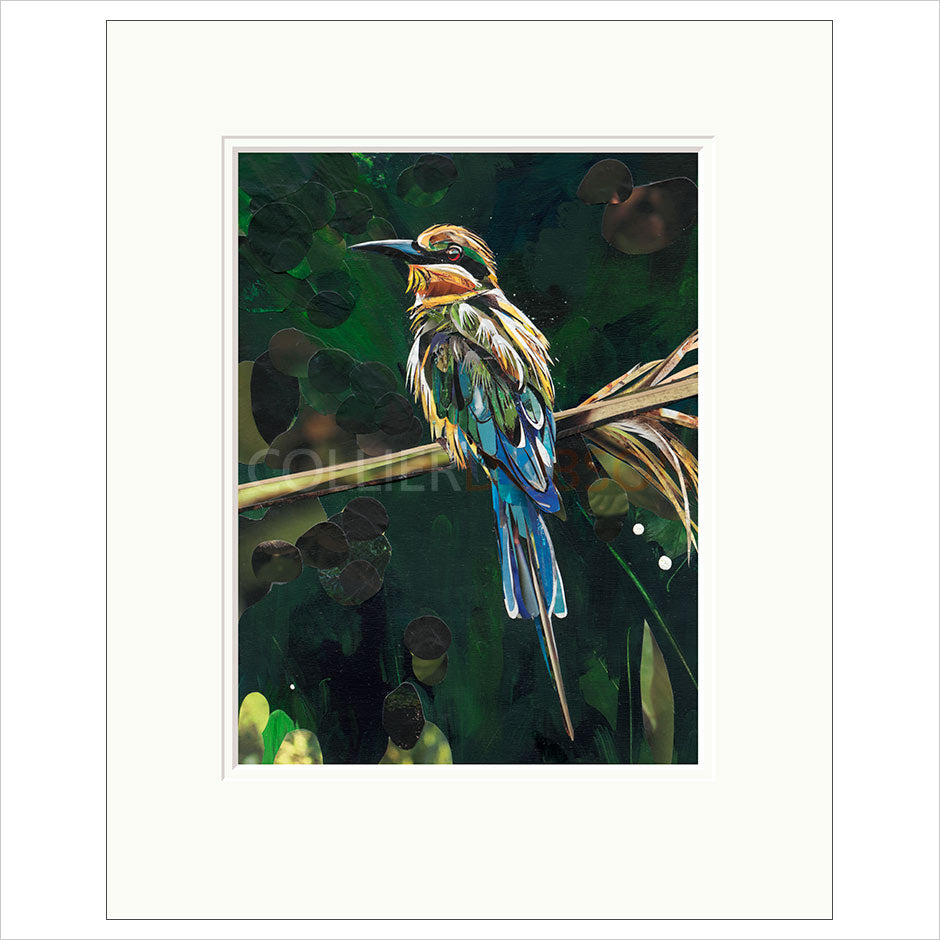 Paradise by Sarah Jackson