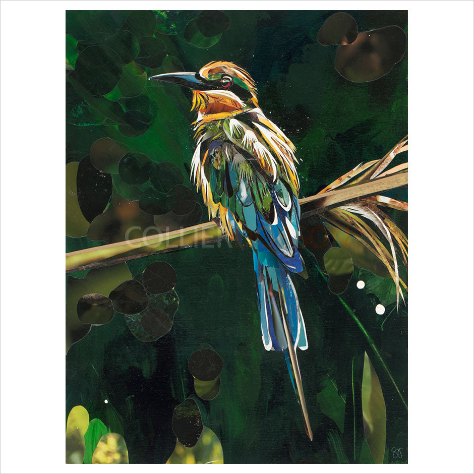 Paradise by Sarah Jackson