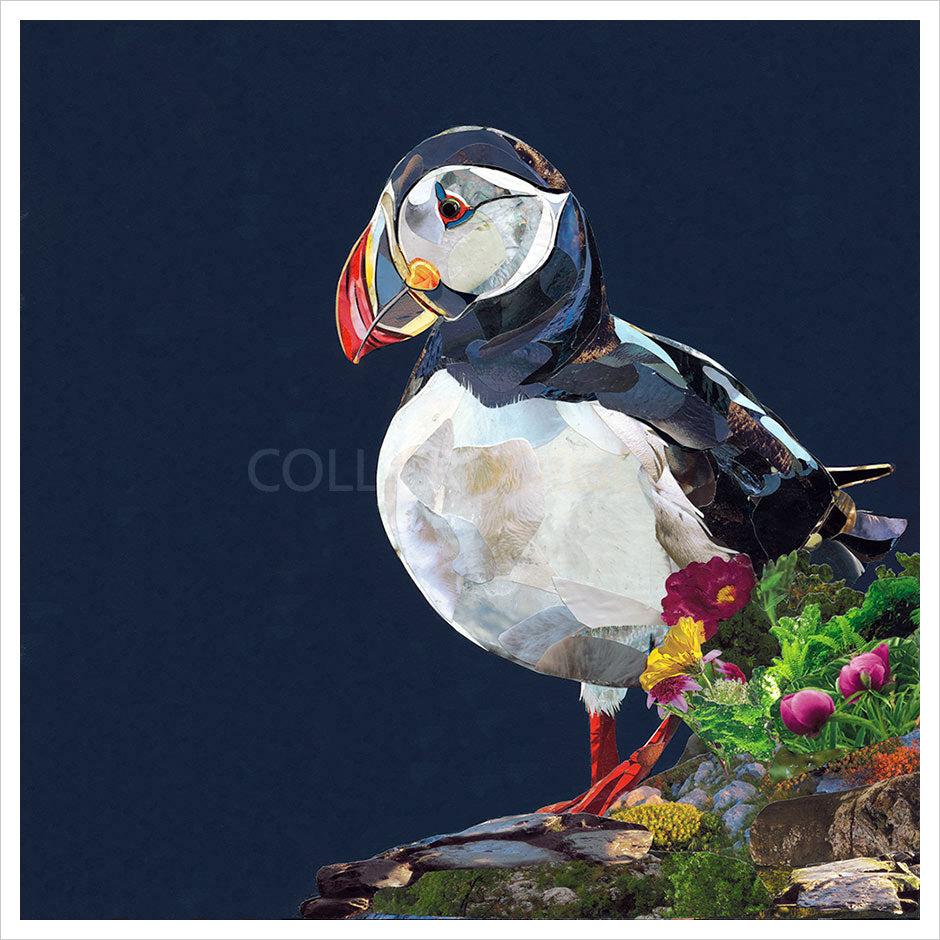 Lundy by Sarah Jackson
