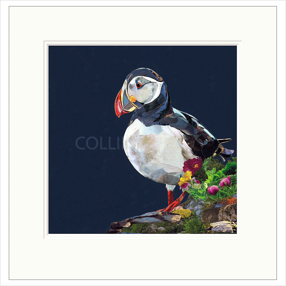 Lundy by Sarah Jackson