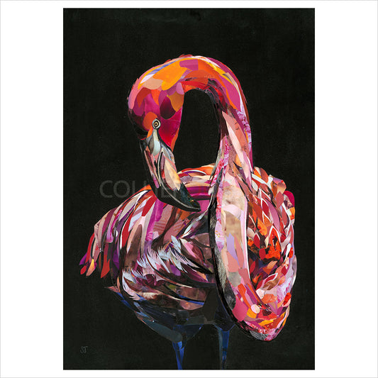 Florence by Sarah Jackson