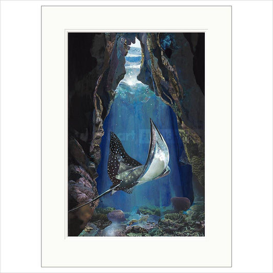 Sarah Jackson Utopia