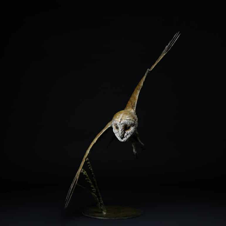 Hunting Barn Owl