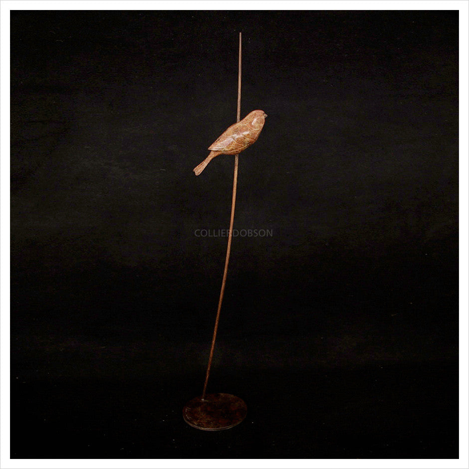 Sparrow on Stem by Adam Binder