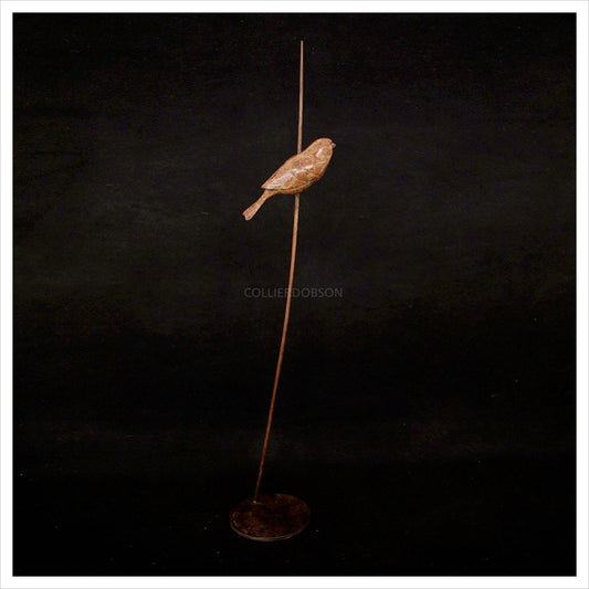 Sparrow on Stem by Adam Binder