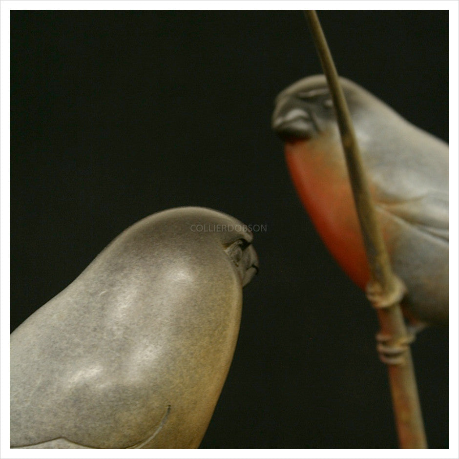 Bullfinches by Adam Binder