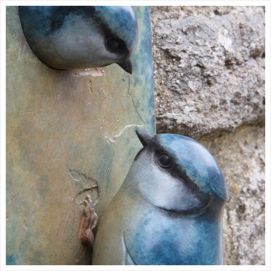 Blue Tit Plaque by Adam Binder
