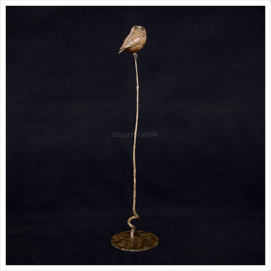 Little Owl III by Adam Binder