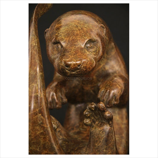 Circling Otter by Adam Binder