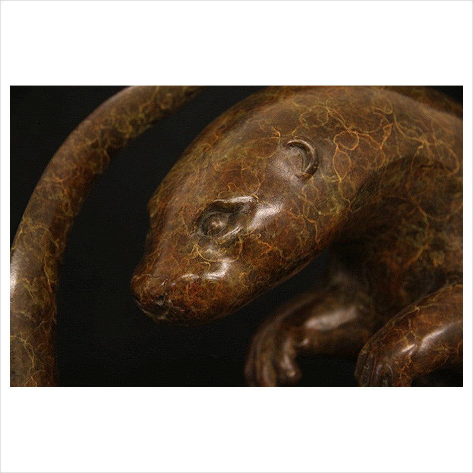 Circling Otter by Adam Binder