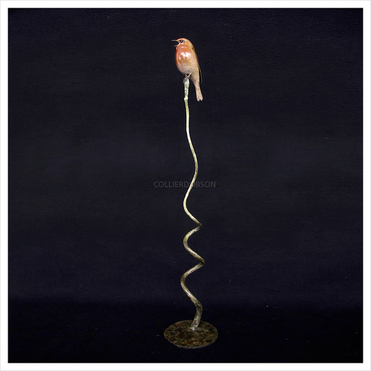 Robin by Adam Binder