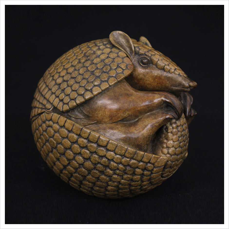 Armadillo by Adam binder