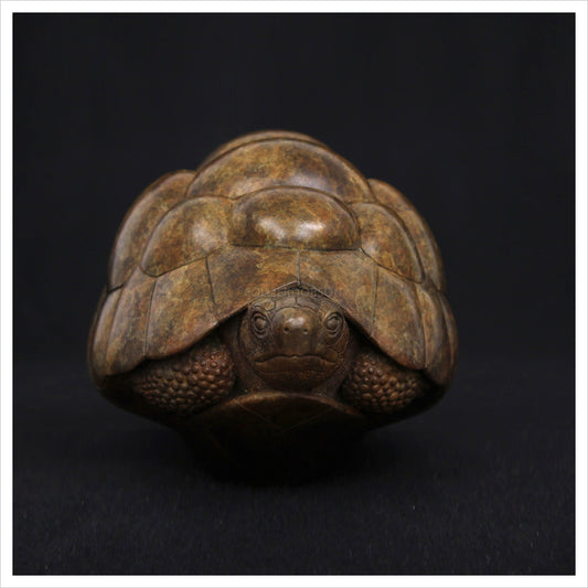 Tortoise II by Adam binder