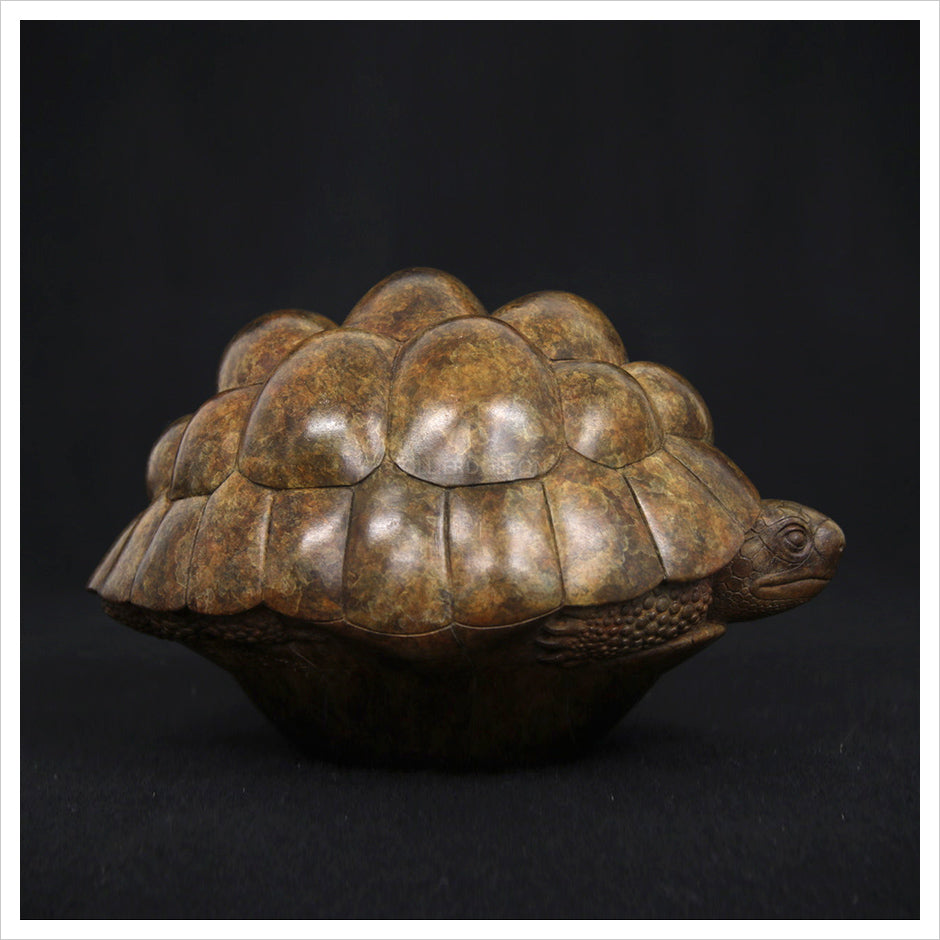 Tortoise II by Adam binder