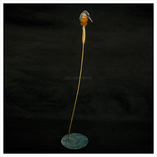 Kingfisher II by Adam Binder