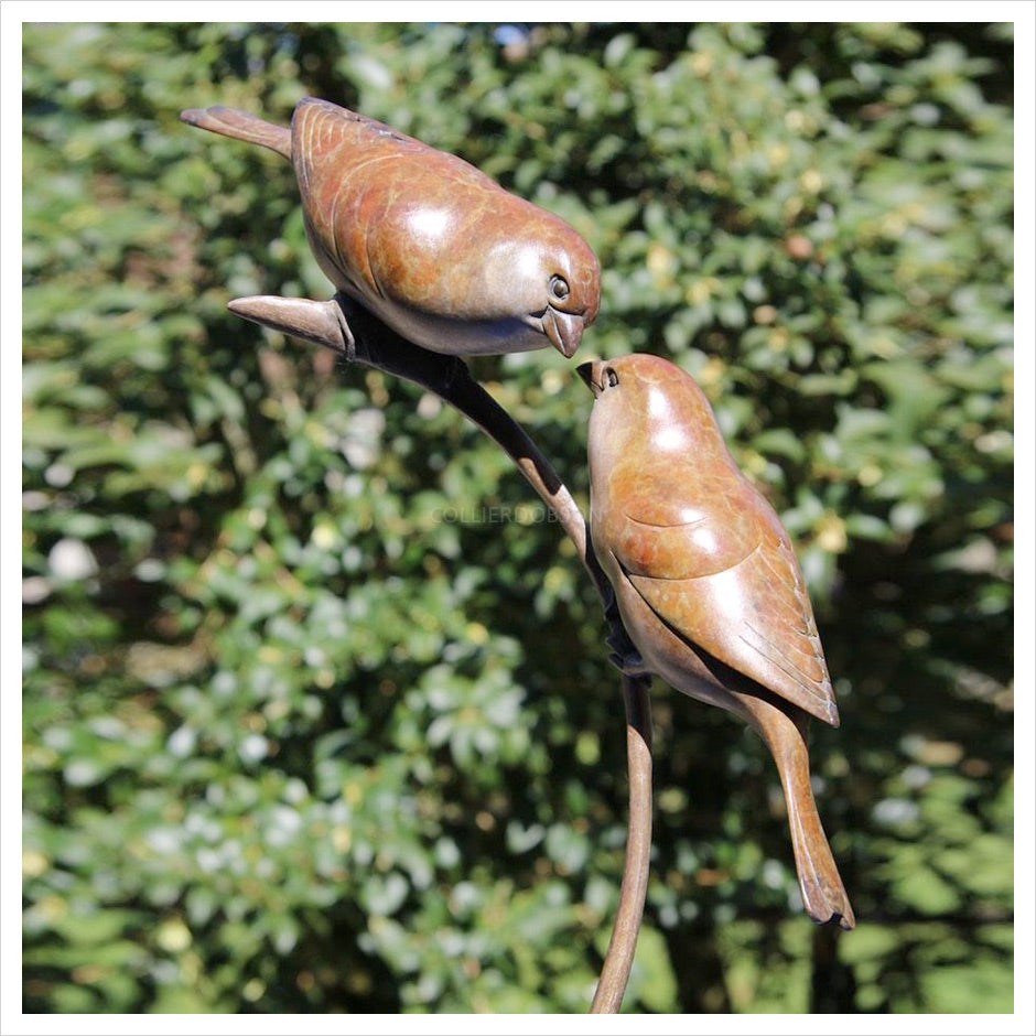 Two Sparrows by Adam Binder