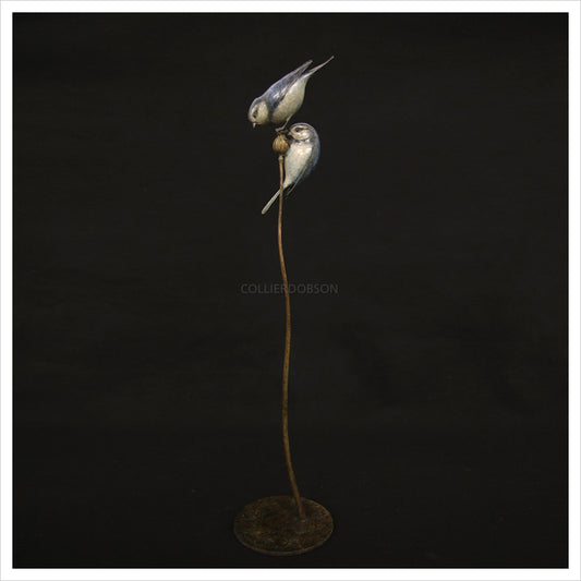 Two Bluetits by Adam Binder