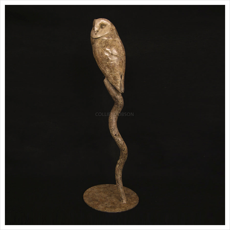 Barn Owl II by Adam Binder